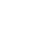 state of florida icon